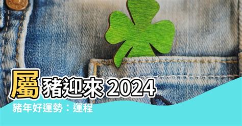 屬豬佩戴飾物|2024豬年開運色速查